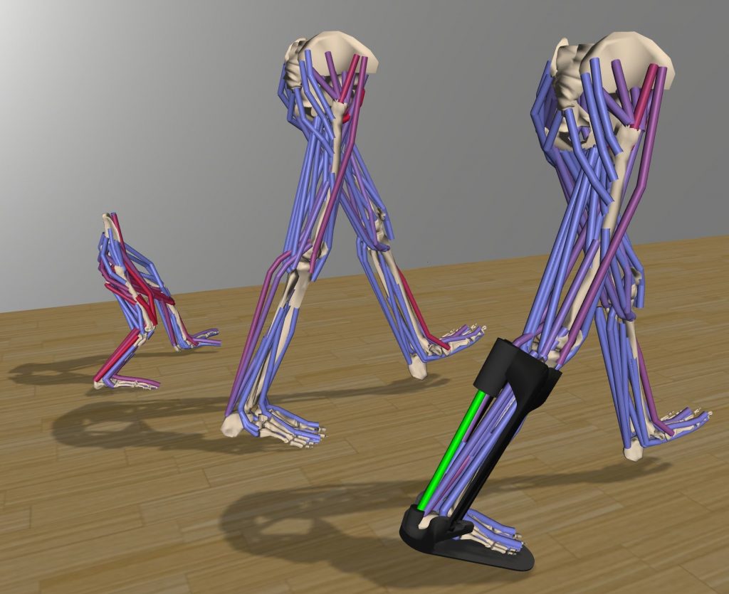 Software recreates complex movements for medical rehabilitation and basic research